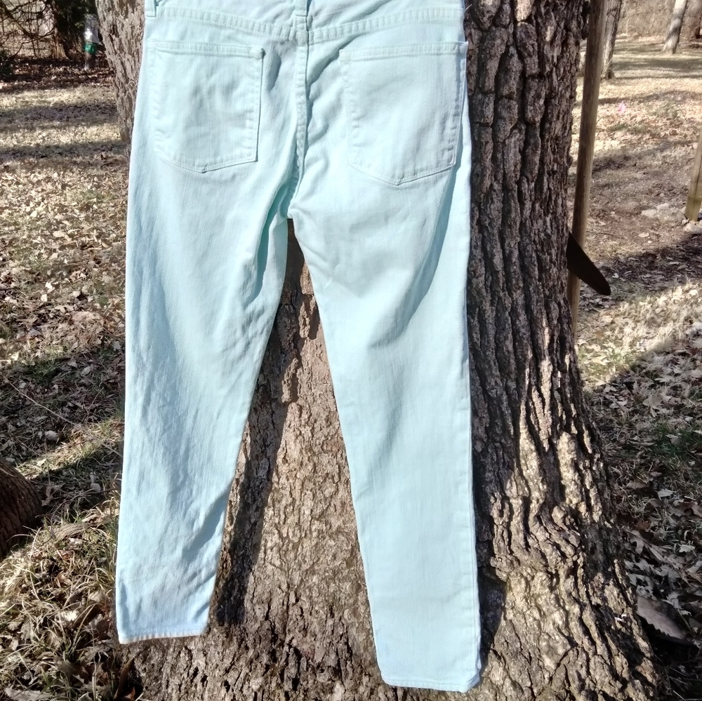 ⬇️ Price Drop! ⬇️ JCrew Stretch Jeans in size 26 - Picture 2 of 4